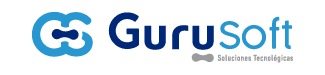 GuruSoft